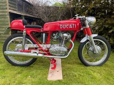 1965 Ducati Daytona 250 narrow case single Cafe racer please read description