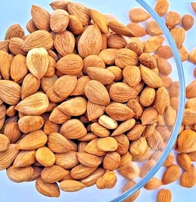 Organic Apricot Seeds, Kernel - Natural Seeds - Fast Delivery ✅️