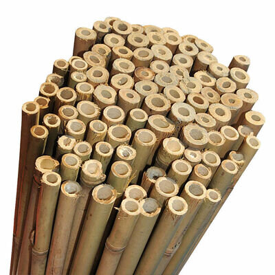 Thick Bamboo Canes Heavy Duty Garden Plant Support 2Ft 3Ft 4Ft 5Ft 6Ft 7Ft 8Ft